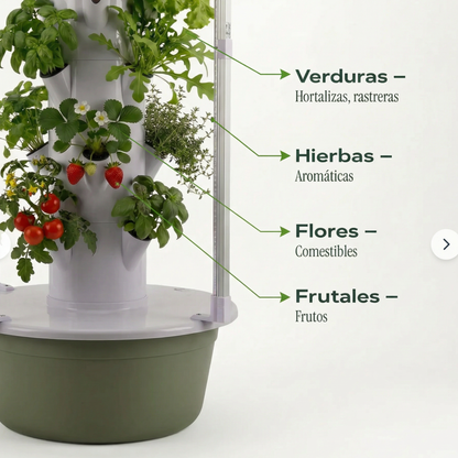 20 Plantas interior