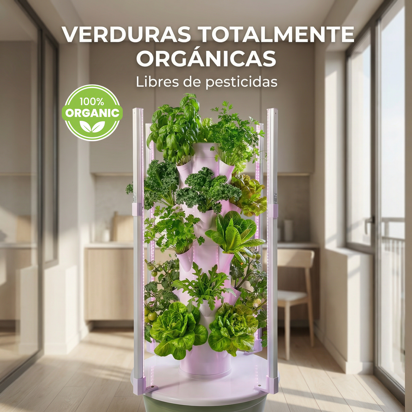 20 Plantas interior