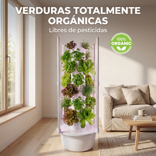 28 Plantas interior
