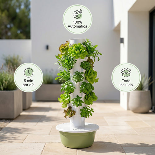 28 Plantas exterior