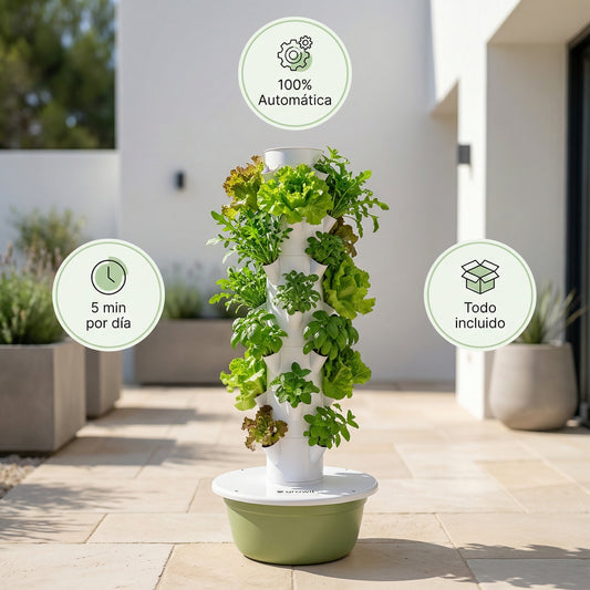 28 Plantas exterior