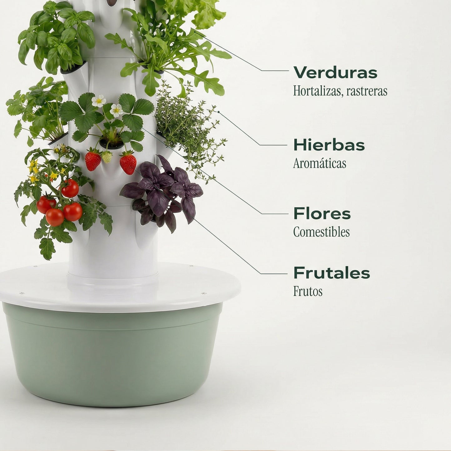 20 Plantas exterior
