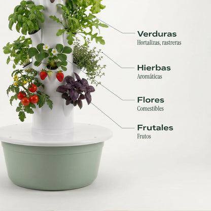 20 Plantas exterior