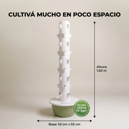 36 Plantas exterior