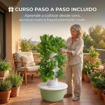 20 Plantas exterior