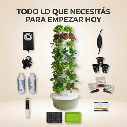 36 Plantas exterior