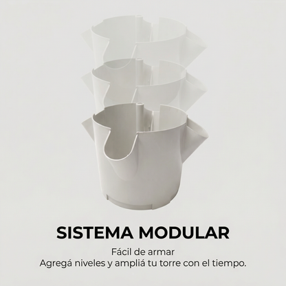 20 Plantas exterior