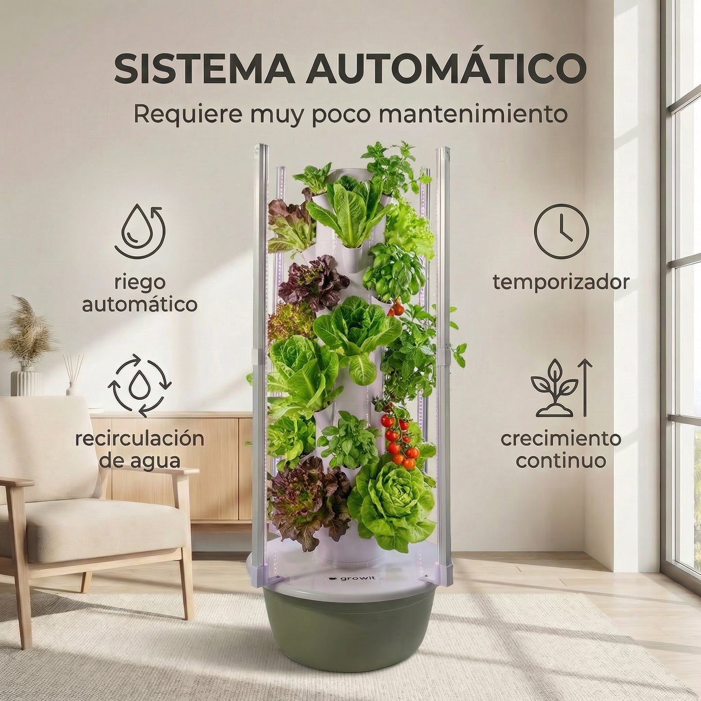 28 Plantas interior