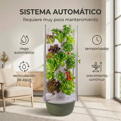 28 Plantas interior