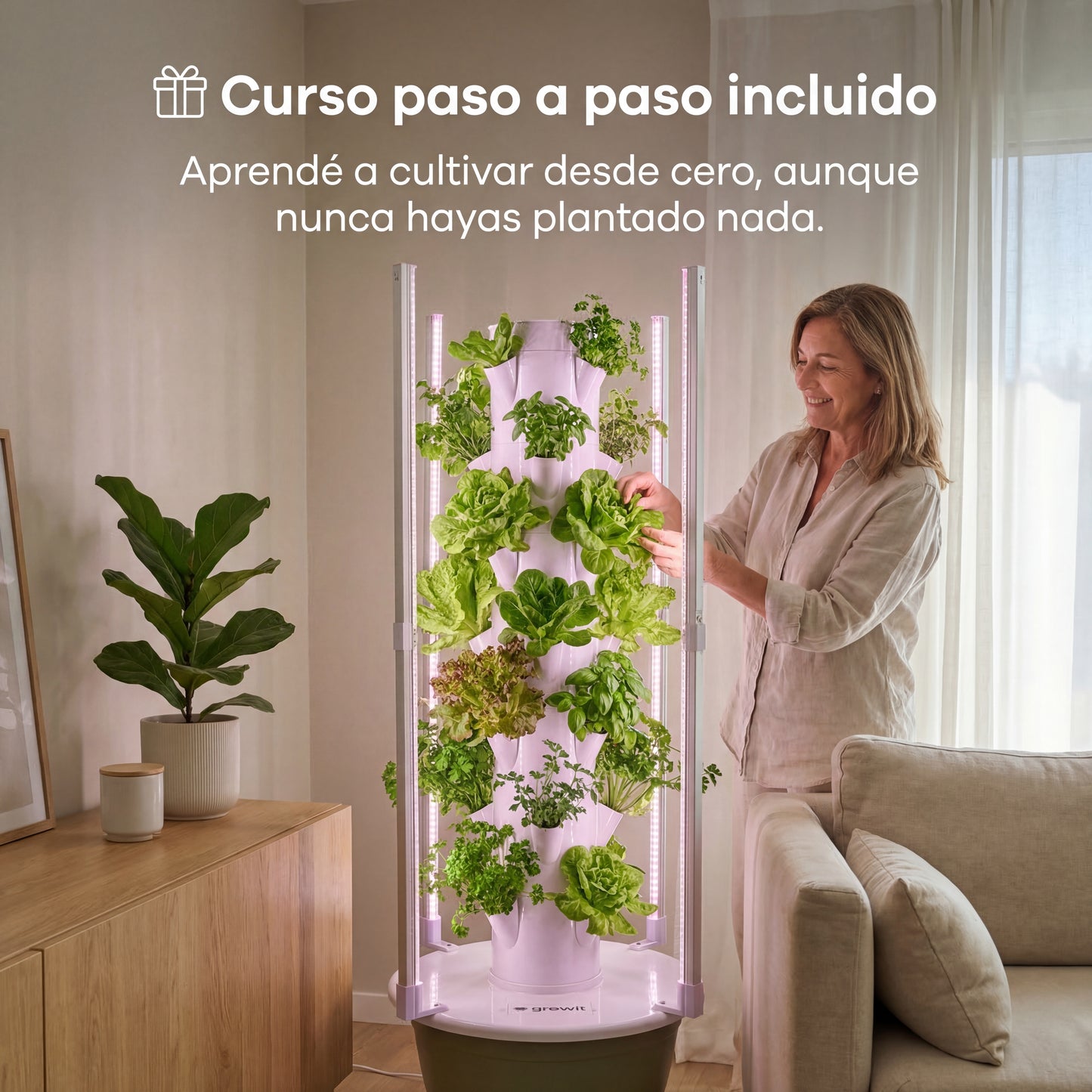28 Plantas interior