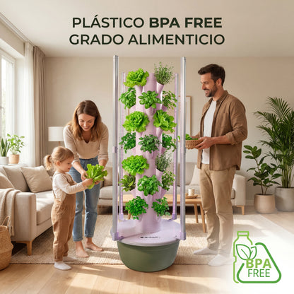 28 Plantas interior