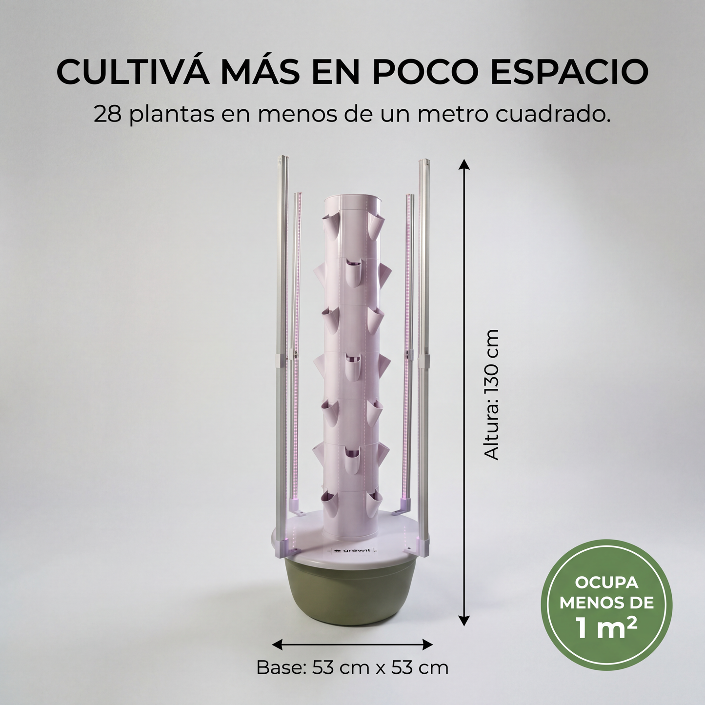 28 Plantas interior