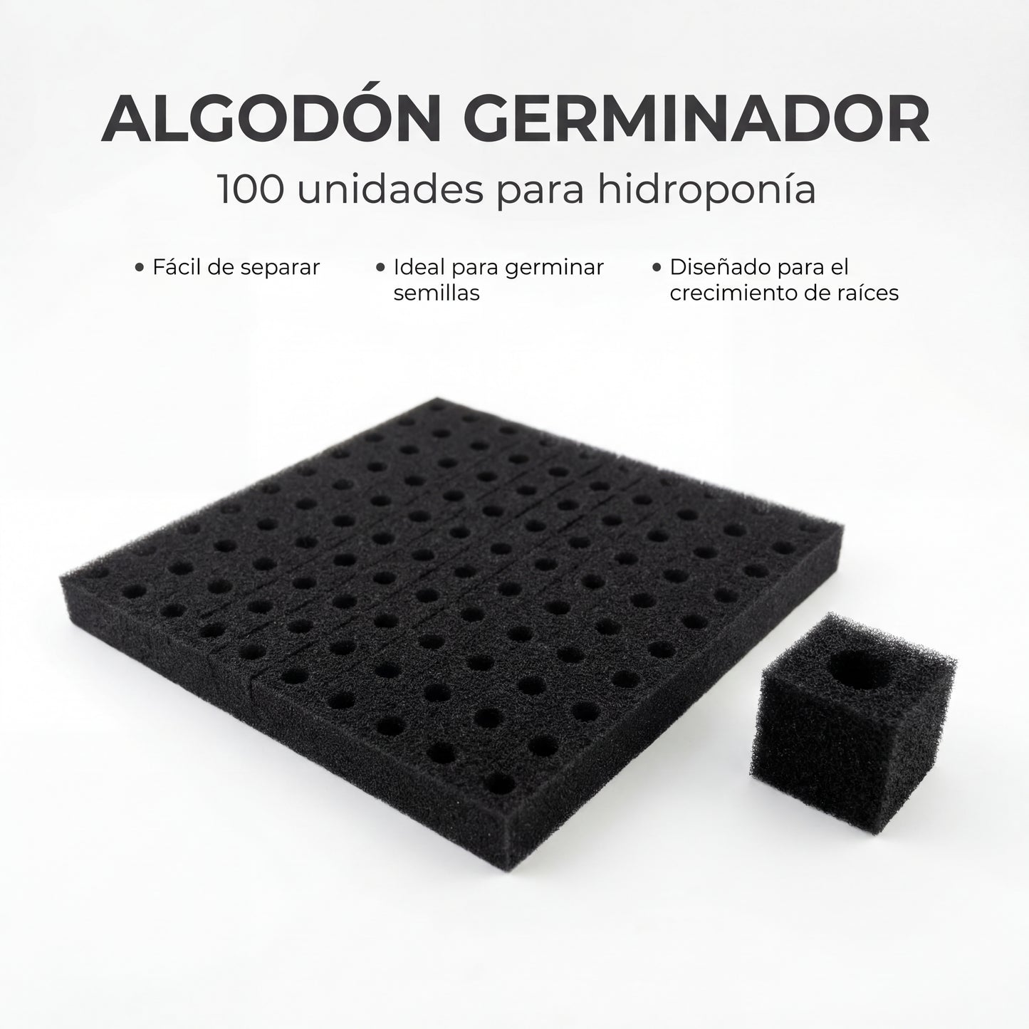 Algodón germinador