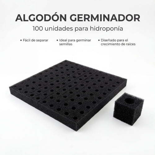 Algodón germinador