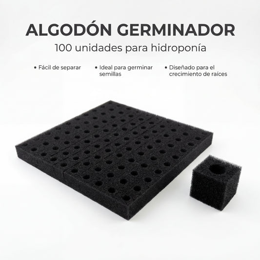 Algodón germinador