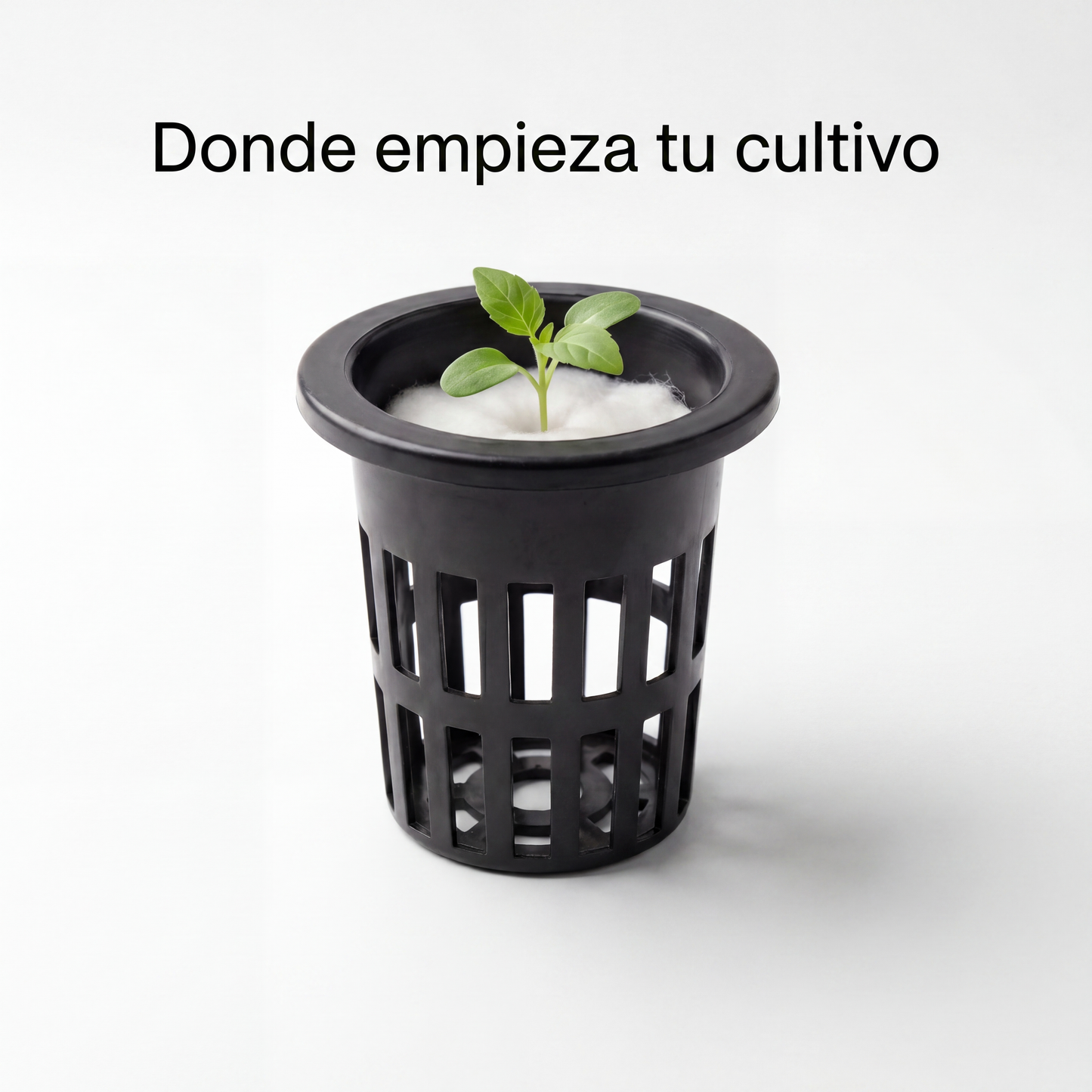 Canastas